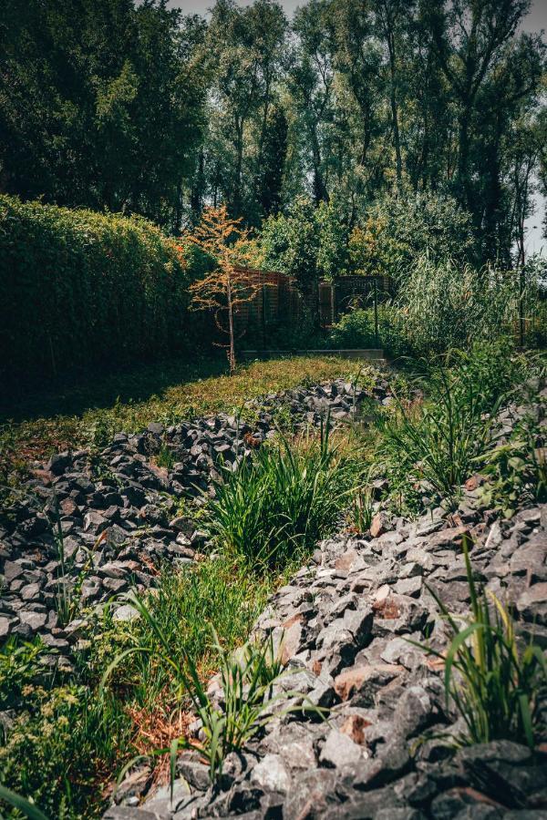 Apartmán Fuzliget Surf Garden Balatonfůzfő Exteriér fotografie